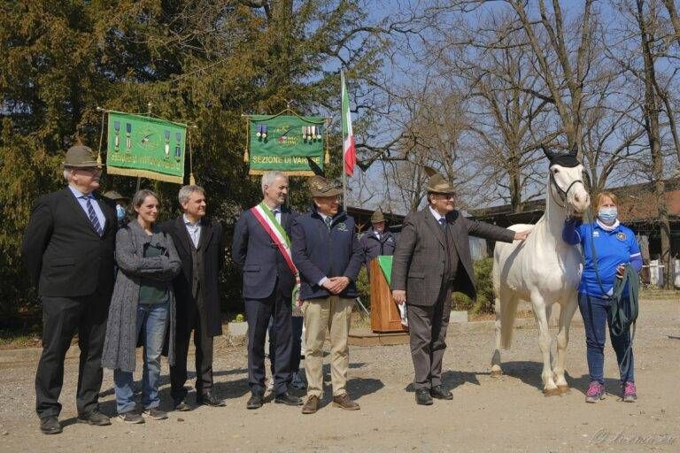 agres donazione cavallo 768x512