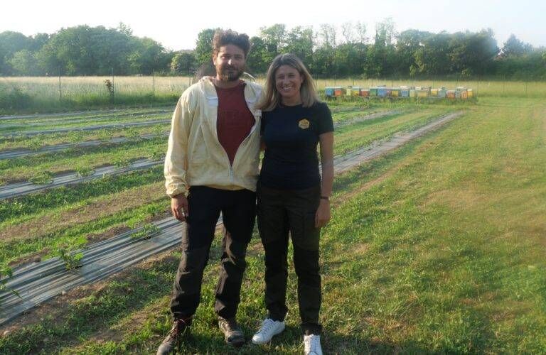 Giornata mondiale delle Api: laboratori da Limbiate a Milano I VIDEO P1002826 1 768x500
