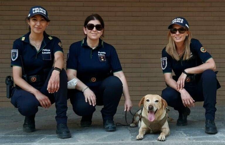 PL anti droga 768x494