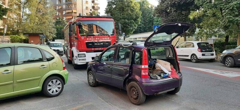 Paderno, grossi sciami d’api davanti alle case, arrivano polizia locale e Vigili del fuoco | VIDEO Paderno sciami d'api