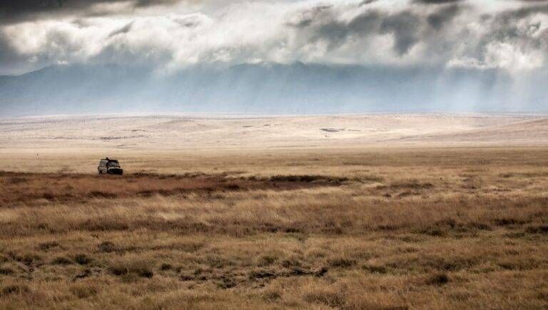 tanzania paradiso relax