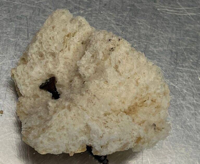 boccone vite 768x630