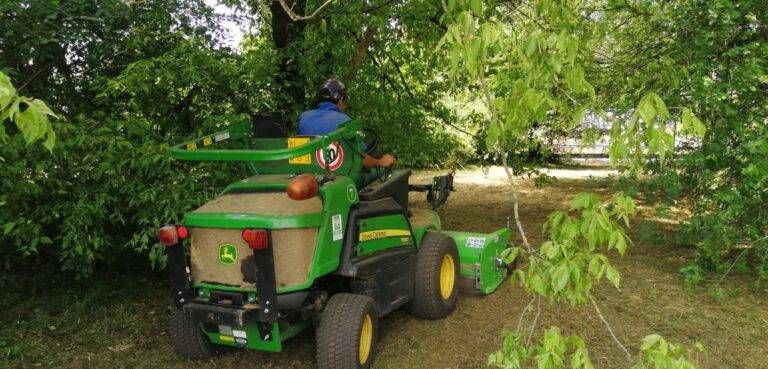 erba paderno tagli 768x369