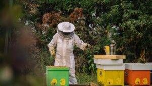 photo1652945982 300x169