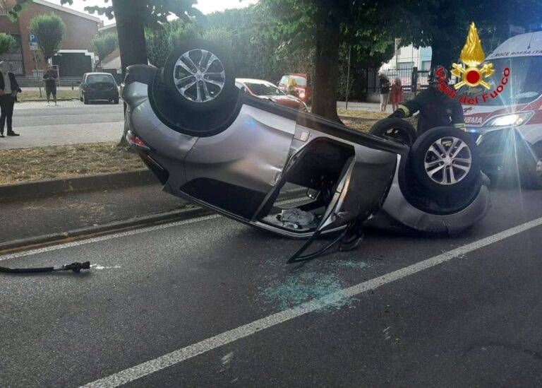 IMG 20220609 084530 611 768x549