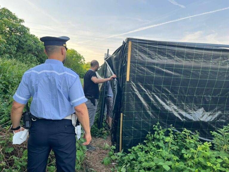 piccionaia abusiva paderno 768x576