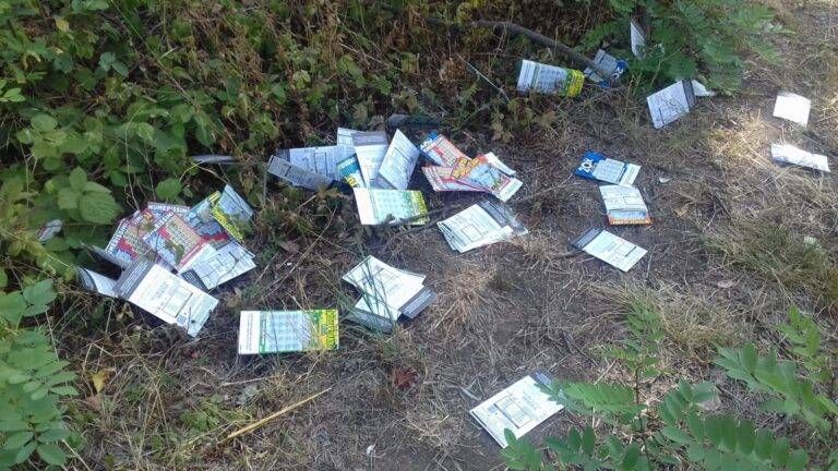 gratta vinci solaro multa