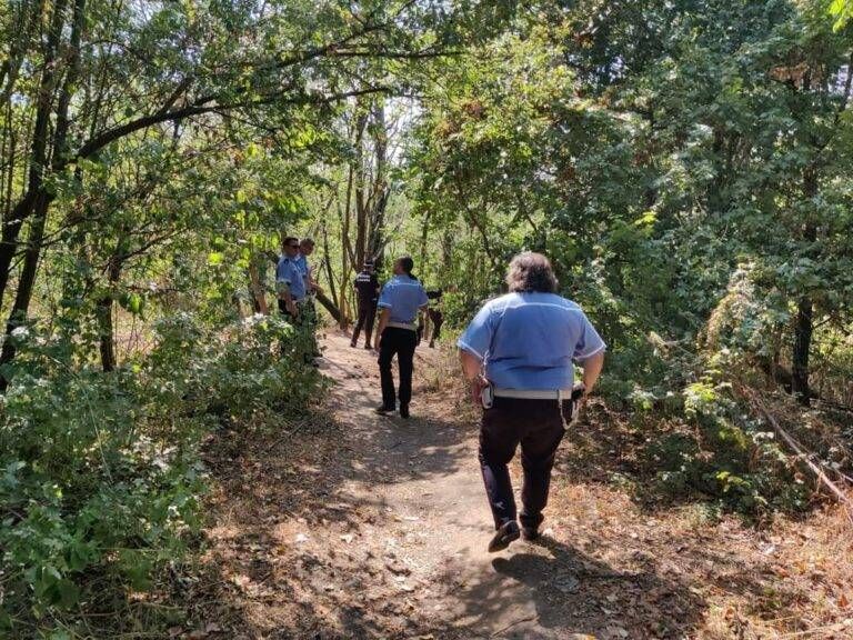 FB IMG 1658305489019 768x576