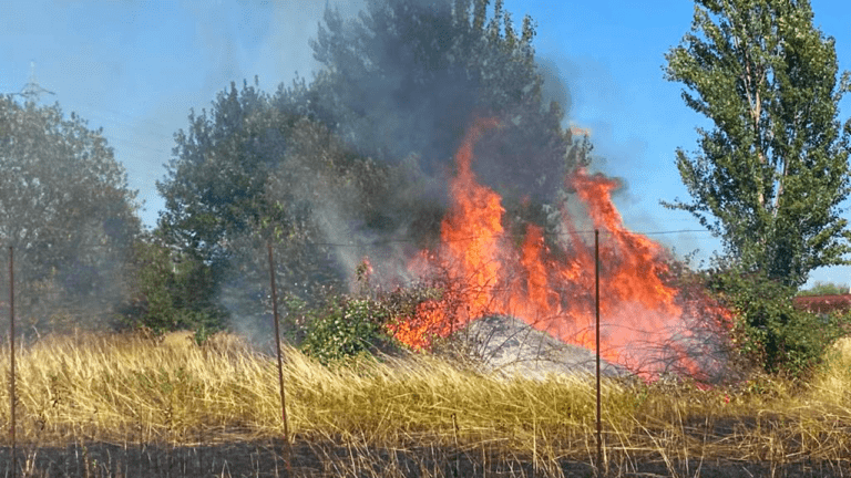 Incendio tra Bollate e Baranzate: bruciano sterpaglie, si sospetta per un mozzicone incendio bollate don uboldi 768x432