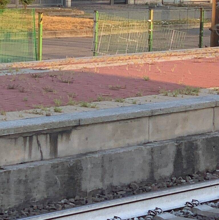 Cancellata divelta  768x772