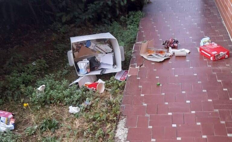 rifiuti giardino 768x470