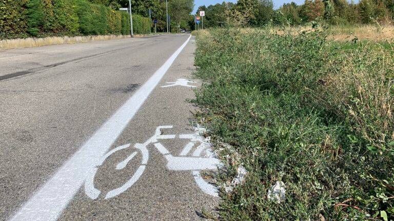 segnaletica paderno 768x432