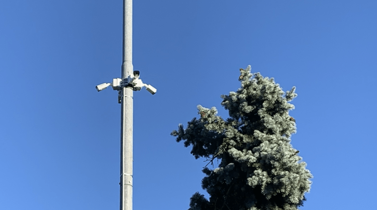 telecamere parchi  768x429