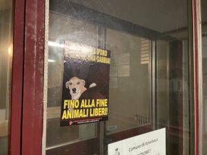 1BE57F77 F1D8 48C5 9B2F 0DB2DDDE9D1F 300x225