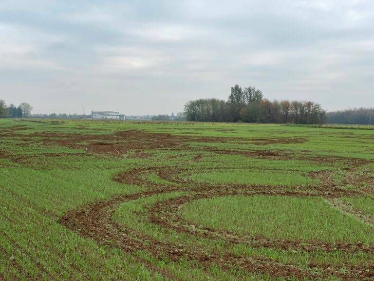 Gerenzano: teppista su un trattore devasta i campi agricoli IMG 20221117 WA0028 768x576