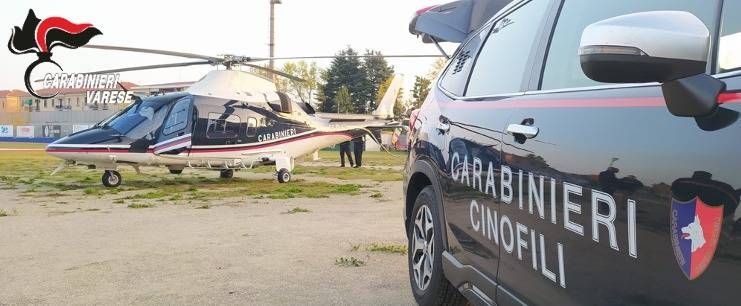 Uboldo, 50 carabinieri nei boschi per operazione contro lo spaccio IMG 20221119 WA0011
