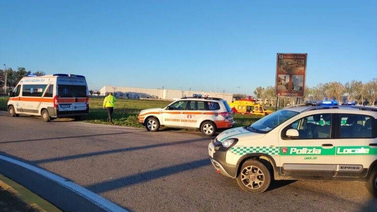 Immagine WhatsApp 2022 11 18 ore 16.09.45 768x432