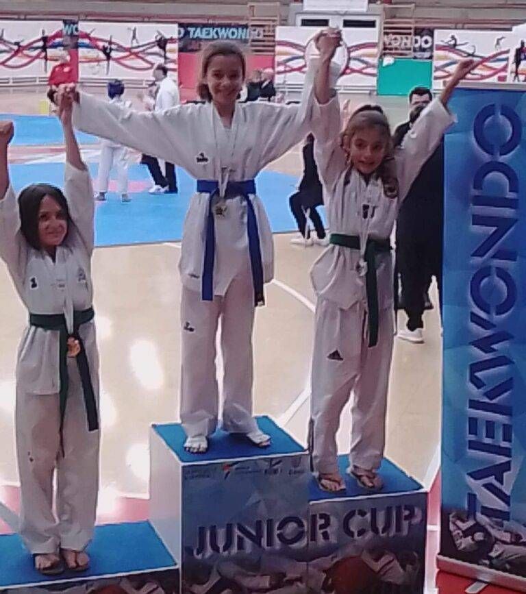 X SITO BOLLATESI ancora nel TAEK e1671456193419 768x867