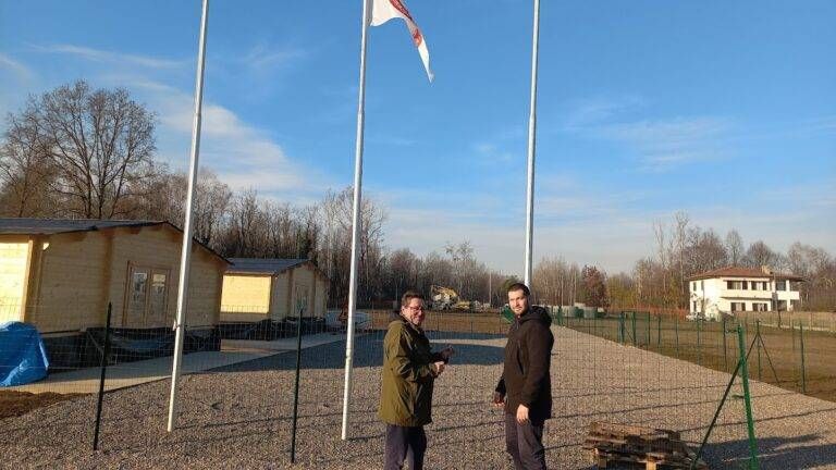 cogliate campo macerie cani