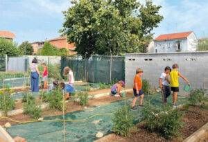 Bollate orto sogni realta2 300x205