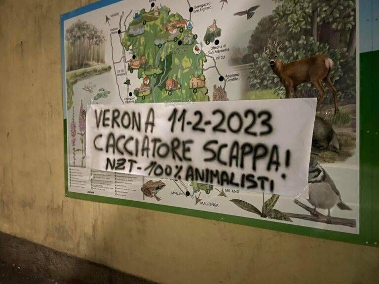 Animalisti 3 768x576