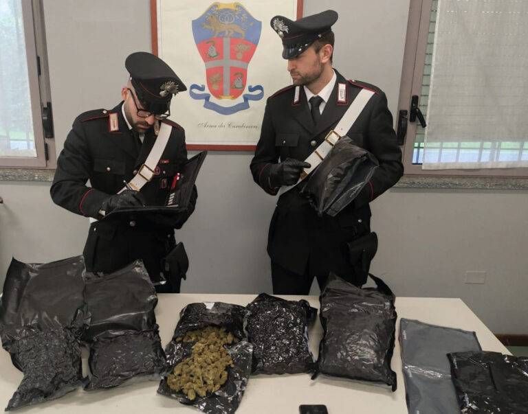 Bollate chili droga Usa