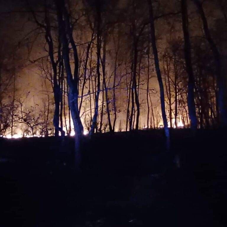 FB IMG 1676475230389 768x768