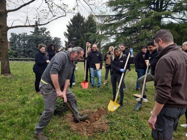 Colleghi di lavoro insieme a piantare alberi nel giardino della scuola di Solaro lavoro alberi scuola solaro