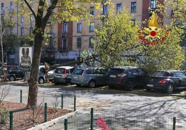 bollate raffiche 768x539