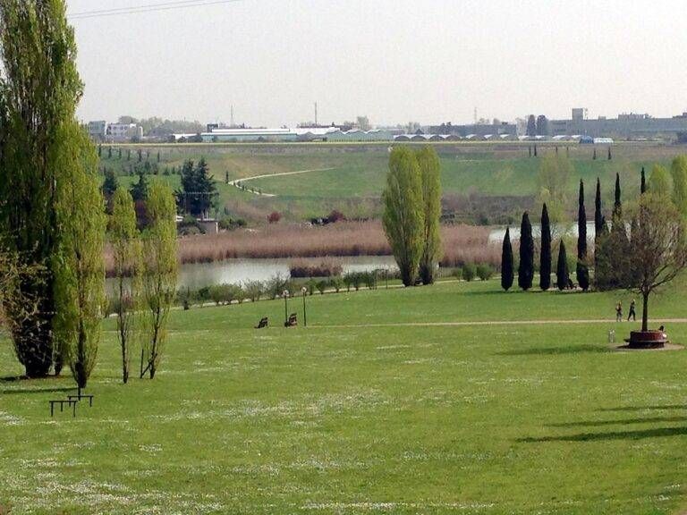 Il treno porta un bosco a Paderno Dugnano: 1200 alberi e 8mila metri quadrati di verde paderno dugnano parco lago nord 768x576