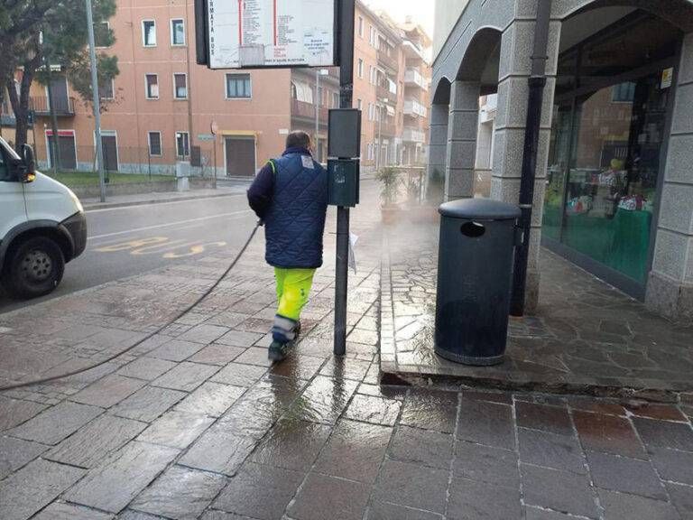 Senago pipì cani disabituante
