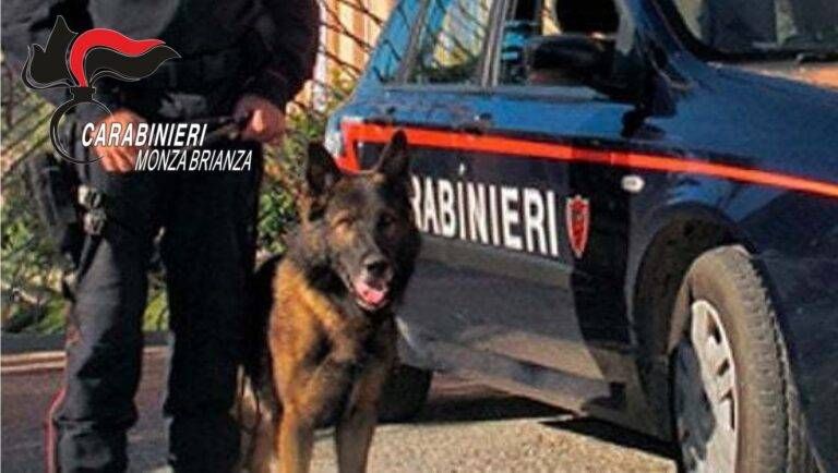 cane carabinieri droga