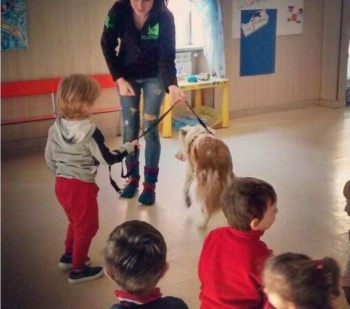 Percorso di educazione cinofila per i bambini di Saronno educazione cinofila saronno e1681299914189