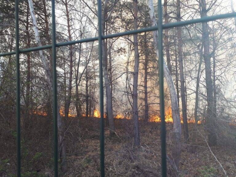 incendio martedi 768x576