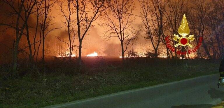 Incendio nelle Groane, la grande paura a Cesate – VIDEO E FOTO incendio martedi per gallery 2 768x373