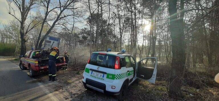 incendio merc 768x354