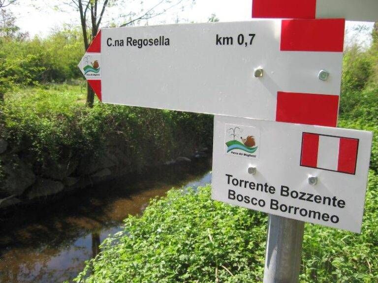 Origgio, Parco dei Mughetti: ok al regolamento per i volontari civici parco mughetti origgio 768x576