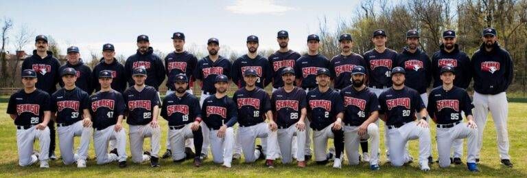 Serie A di baseball, tocca a Senago: debutto con Modena, pensierino scudetto senago baseball 768x259