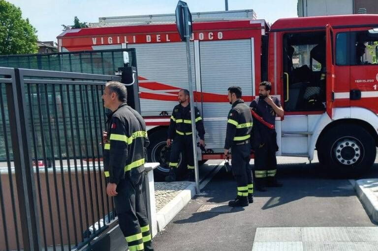 Bollate, allarme serpente in via Marco Pantani Bollate allarme serpente Pantani