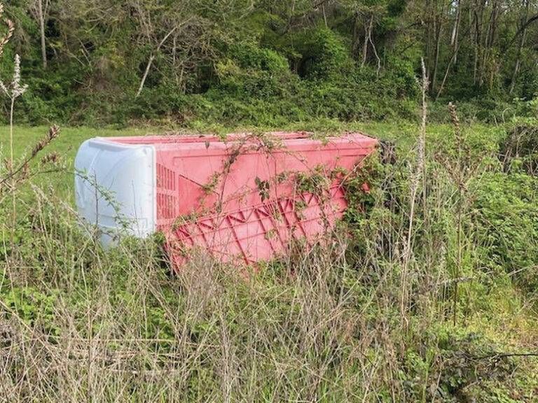 Bollate, dopo tre anni bagno ancora abbandonato lungo il canale scolmatore Bollate anni bagno abbandonato