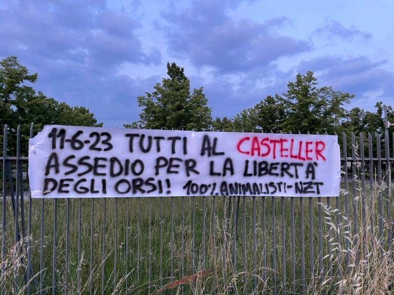 FF9F1381 4896 43A8 8E7F EAD64AC06446 768x576