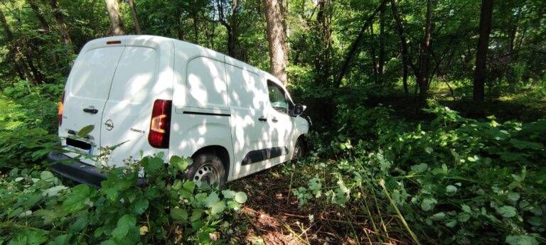 InkedImmagine WhatsApp 2023 06 07 ore 10.55.02 768x345