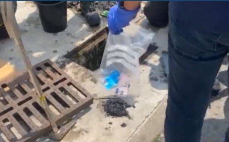 Giulia tombino documenti coltello