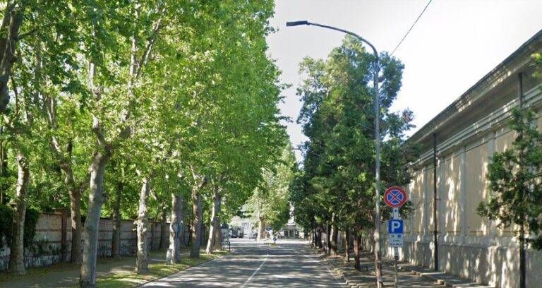 saronno platani via milano francia 768x408