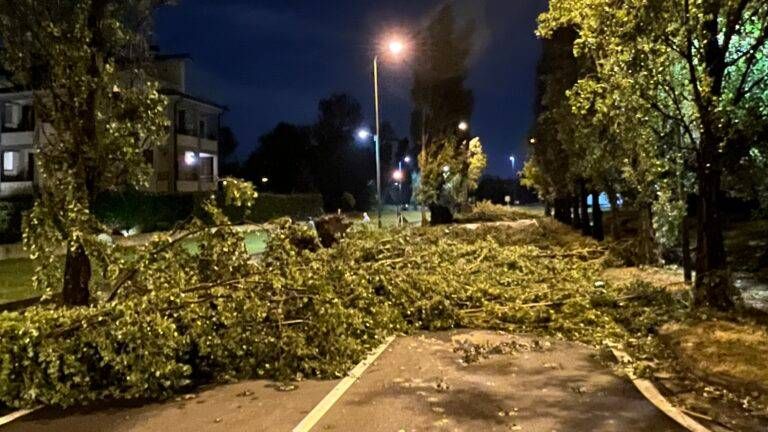 00D0581A D455 4855 806F 5304F9D507B5 768x432