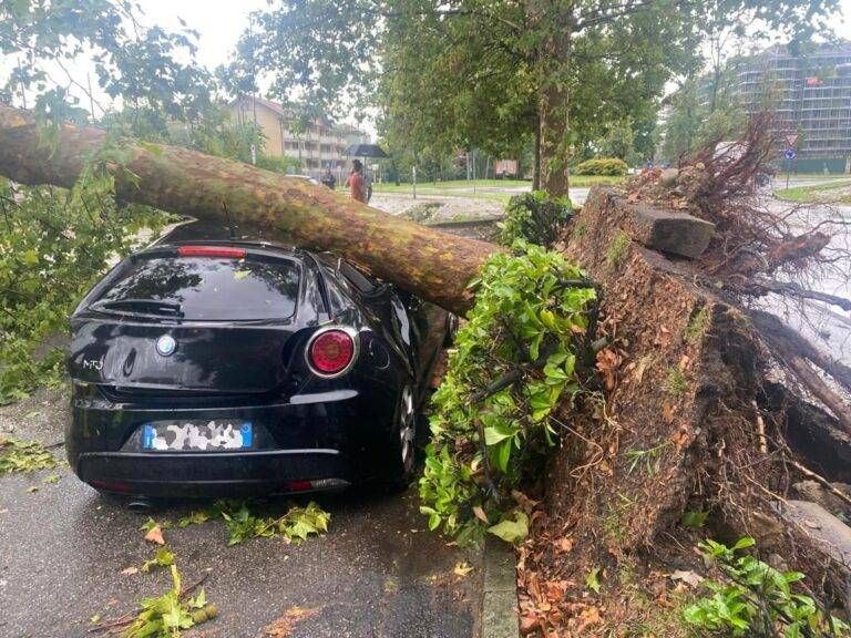 IMG 20230724 WA0037 768x576