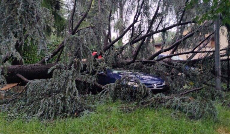 Danni subiti per il maltempo, Bollate raccoglie le segnalazioni (e aspetta i risarcimenti) IMG 20230724 WA0052 1 768x449