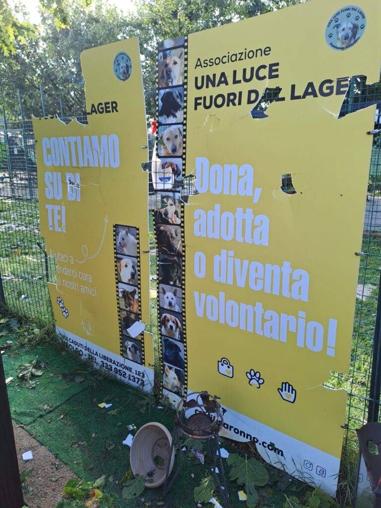 Immagine WhatsApp 2023 07 25 ore 10.38.18 768x1024