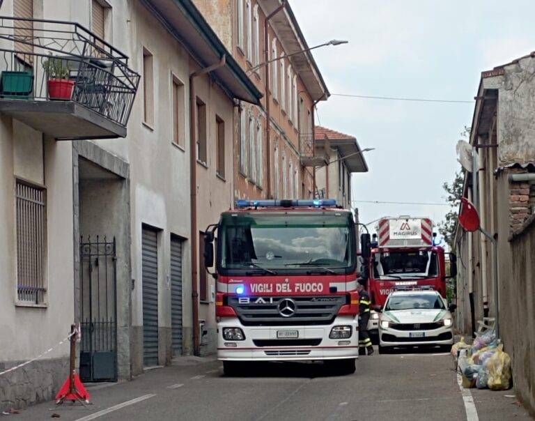 Immagine WhatsApp 2023 07 31 ore 11.44.02 768x604