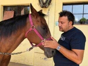 ciro romano 3 300x225